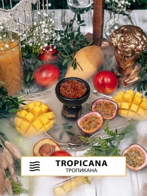 Tropicana 40гр - Element Изображение 1