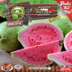 Natura Premium MIX and SHAKE Short Fill 60+40мл - Forest guavaz