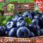 Natura Premium MIX and SHAKE Short Fill 60+40мл - Forest blueberries